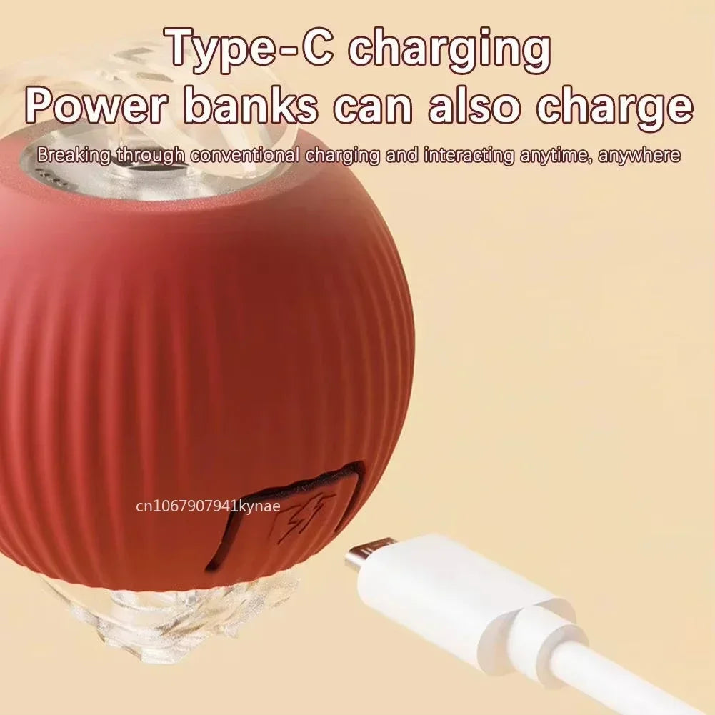 Interactive Cat & Dog Ball Toy