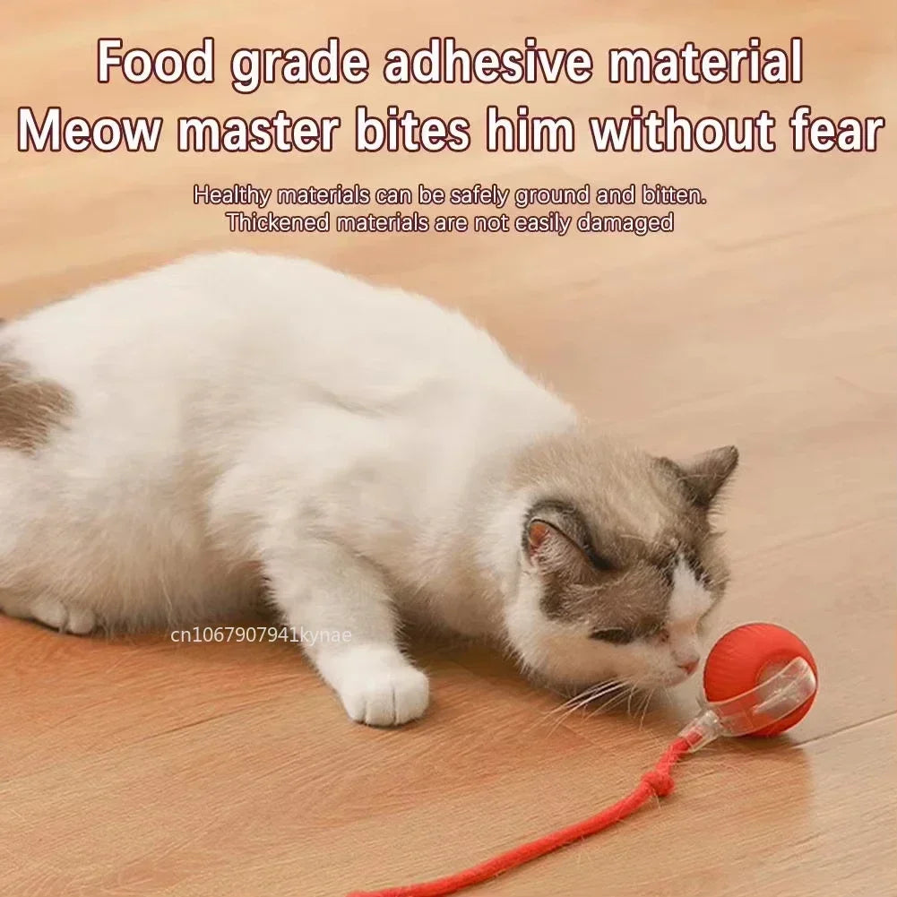 Interactive Cat & Dog Ball Toy