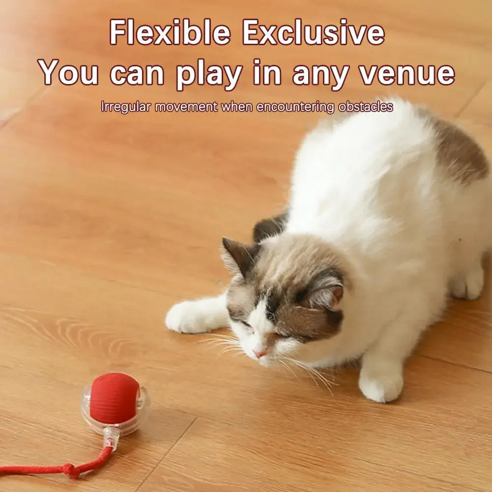 Interactive Cat & Dog Ball Toy