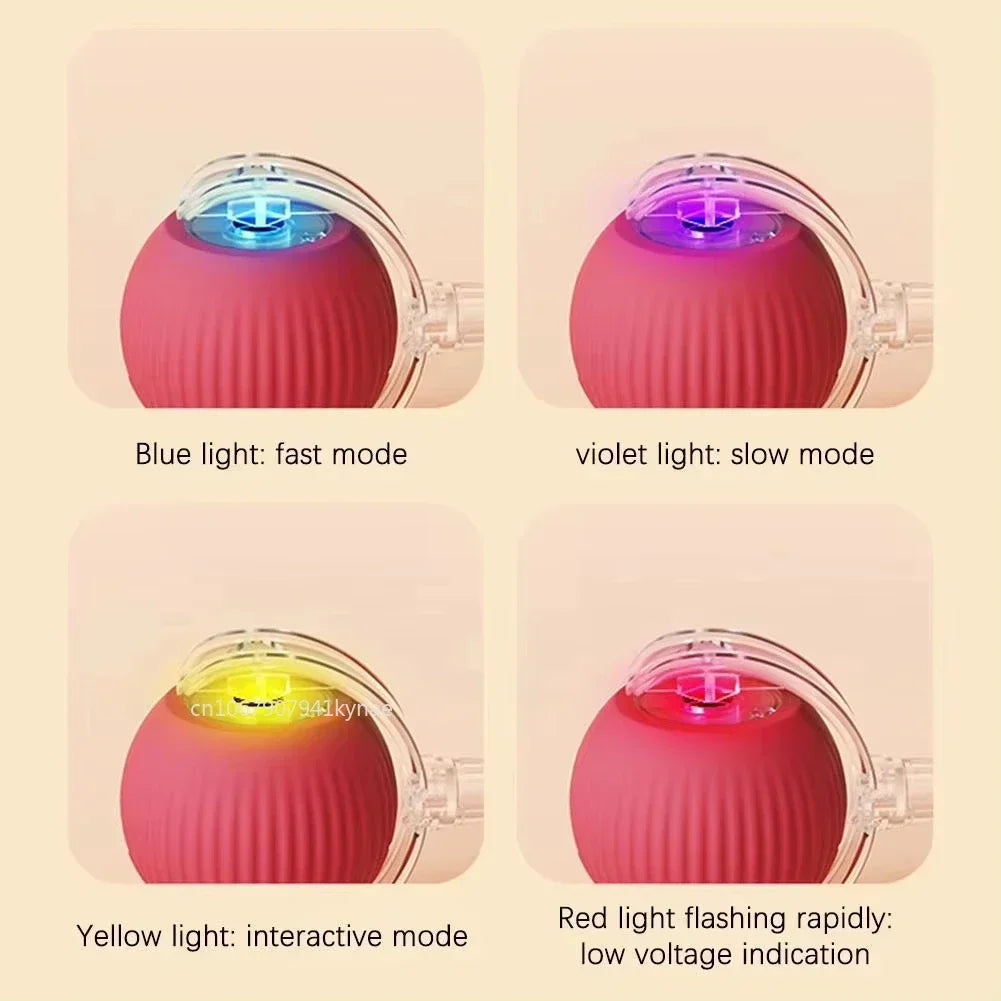 Interactive Cat & Dog Ball Toy