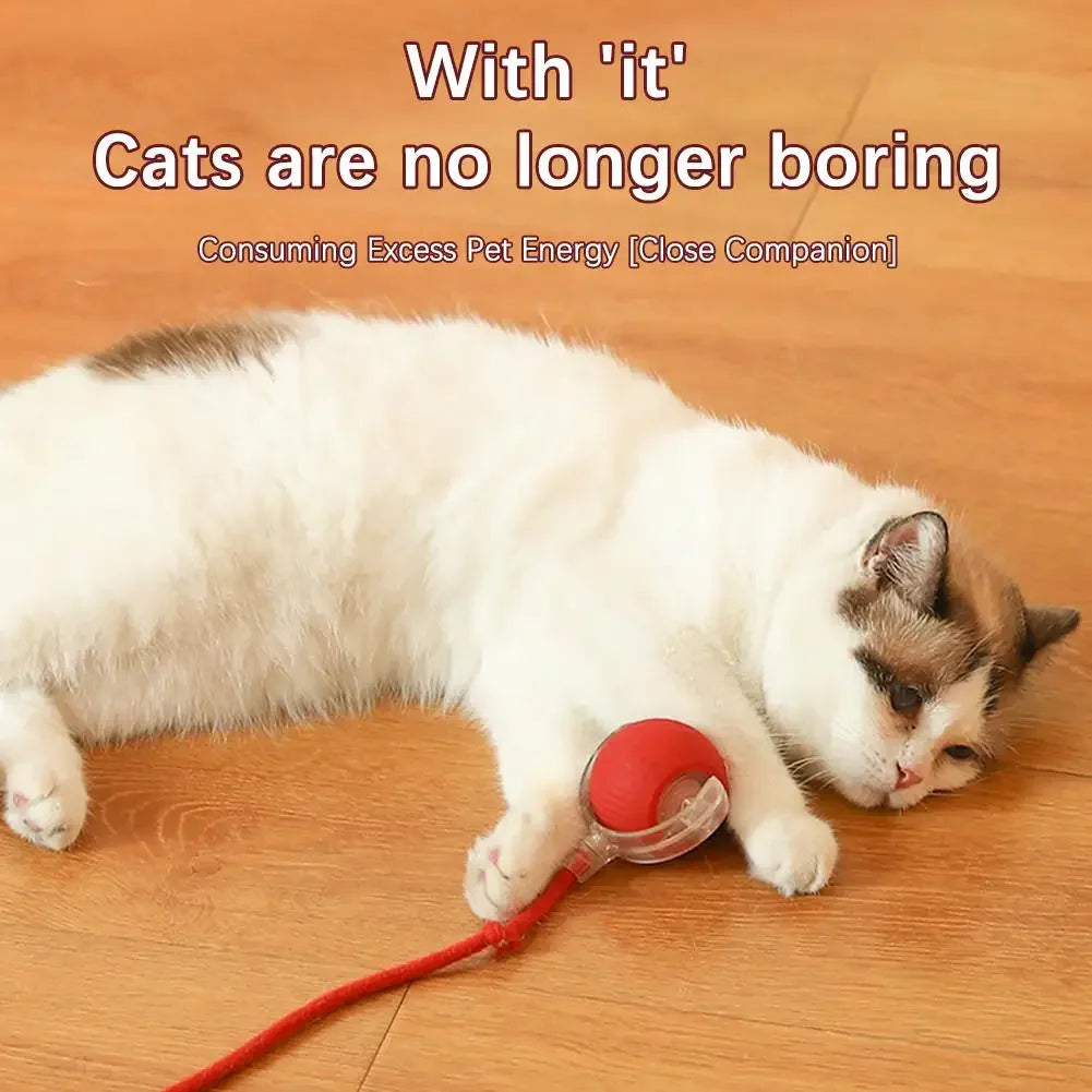 Interactive Cat & Dog Ball Toy
