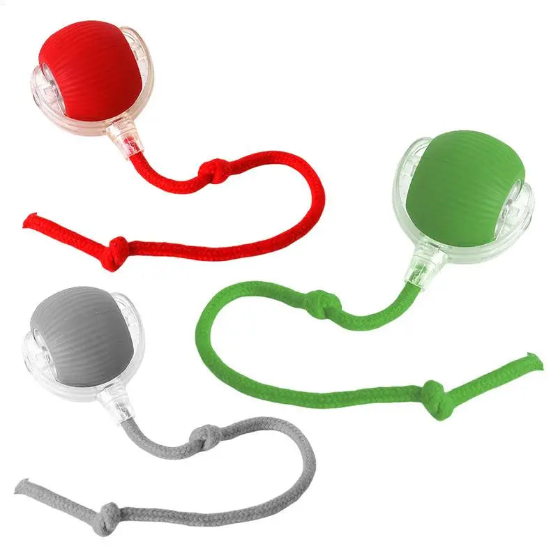 Interactive Cat & Dog Ball Toy