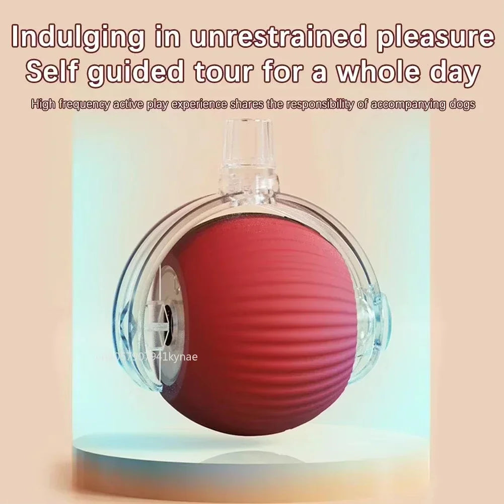 Interactive Cat & Dog Ball Toy