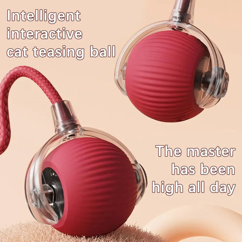 Interactive Cat & Dog Ball Toy