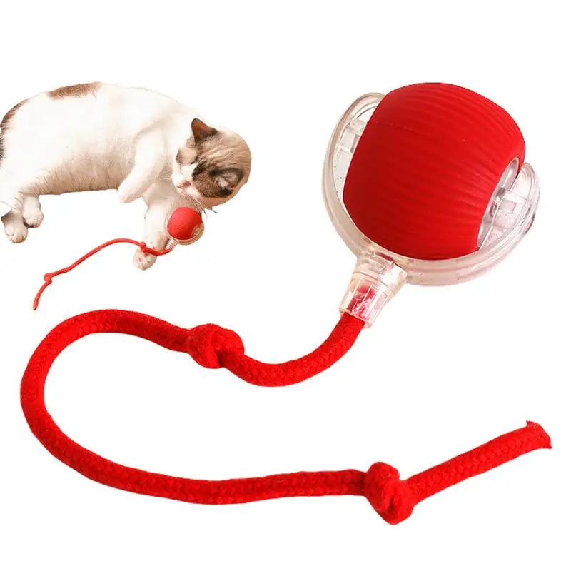 Interactive Cat & Dog Ball Toy