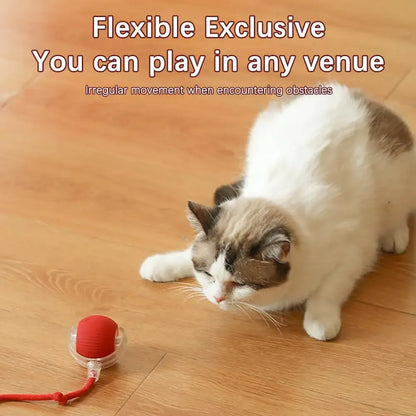 Interactive Cat & Dog Ball Toy