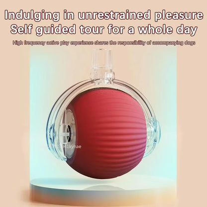 Interactive Cat & Dog Ball Toy